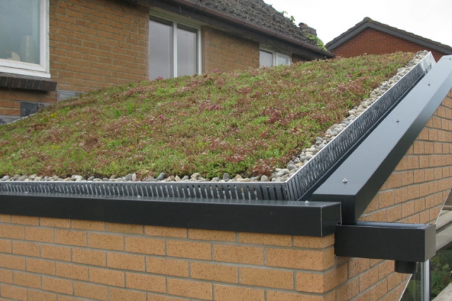 Single storey extension at Bradley Stoke. Detail of sedum roof Single storey extension at Bradley Stoke. Detail of sedum roof